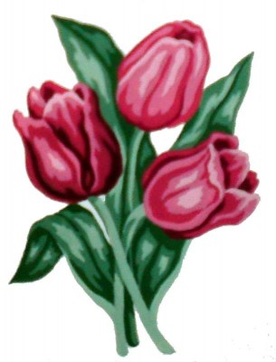 Art 43.100.01 λουλούδια τουλίπες