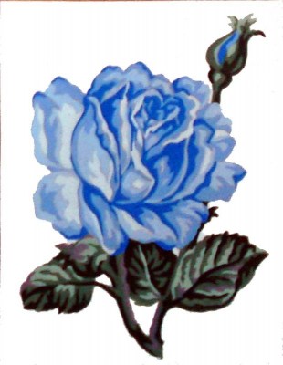Art 43.101.01 μπλε τριαντάφυλλο