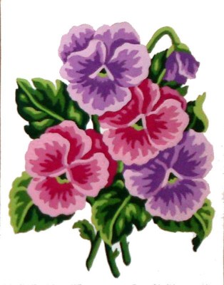 Art 43.105.01 λουλούδια πανσέδες